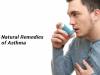 Top 10 Natural Remedies of Asthma 