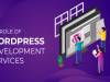 The Role Of WordPress Development Services