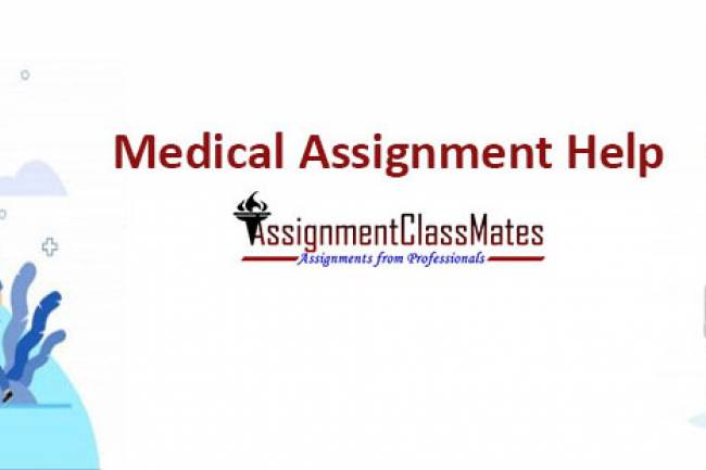 Tips to Become a Pro in Writing Medical Assignments: The Psychology of Medical Writing