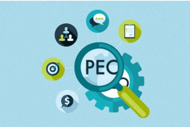 Demystifying PEOs - What Every Business Owner Should Know