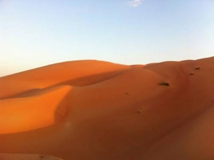 Why Should You Choose Morning Desert Safari In Dubai?