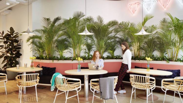 HOW TO ADD BIOPHILIC DESIGNS INTO YOUR RESTAURANTS