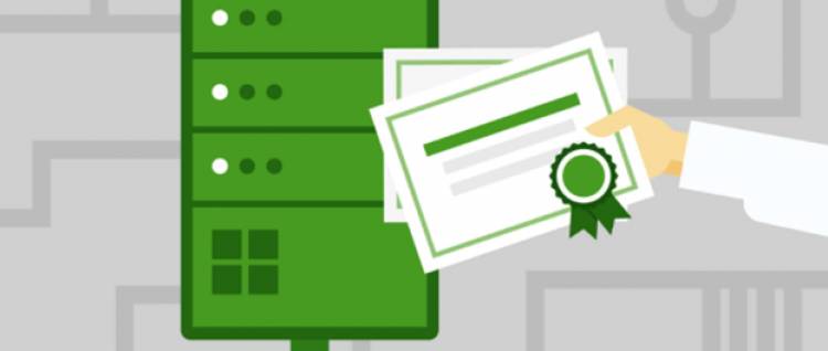 Certificate Authority: What Role Does It Play In PKI Solution?